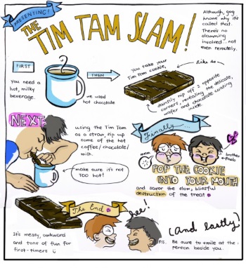 Arrivano anche in Italia i famosissimi biscotti Australiani TIM TAM, delizia di cioccolato!