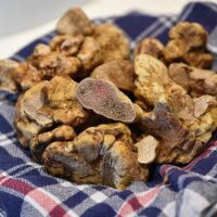 Capodanno del Tartufo: ad Alba la Notte del Debutto