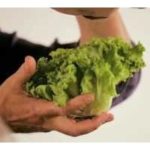 Video: Il tempo dell’insalata