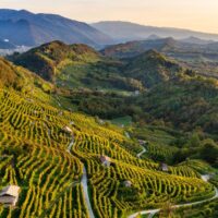 Il Conegliano Valdobbiadene Prosecco Superiore DOCG e le sue versioni