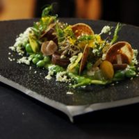Festival Internazionale di cultura e cucina vegetariana