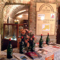 Sabato 1 e domenica 2 ottobre arrivano ad Acqui Terme  gli “Acqui Wine Days”