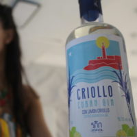 Idee e ingredienti italiani per il primo storico Gin Cubano