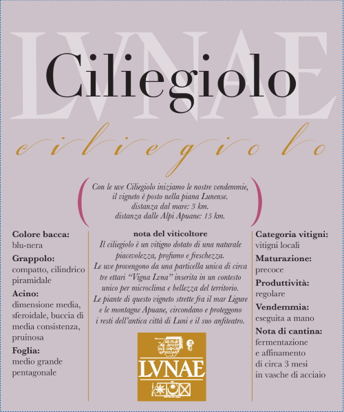 ETICHETTA Liguria di Levante Rosso IGT – Ciliegiolo 2019