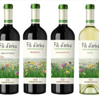Cantine Torrevento presenta nuova gamma di vini biologici “Fili d’Erba”