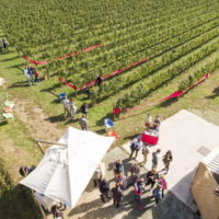 Festival Franciacorta in Cantina 2019