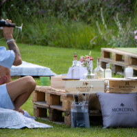 Picnic in vigna in Franciacorta, serata tra i vigneti di Montina
