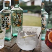 Tre Cocktail con il Gin Fructetum di Naturæ Gin