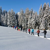Vacanze Eco Sostenibili: in Tirolo l’inverno è Green