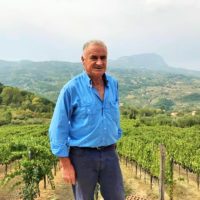 Azienda Agricola Boccella, vigna spettacolare per vini di carattere