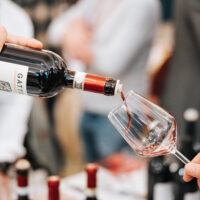 Taste Alto Piemonte 2025: un grande successo di pubblico e di territorio