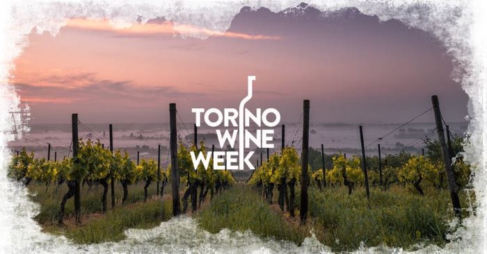 Torino Wine Week