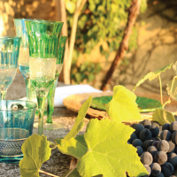 Vetrerie di Empoli festeggia il 10° anniversario della Vendemmia