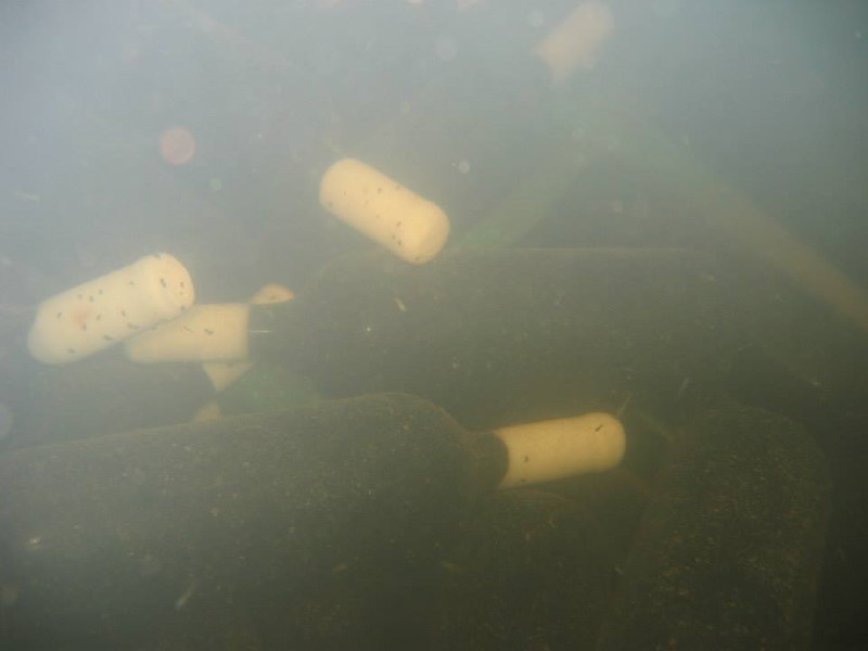 bottiglie che affinano in laguna a venezia