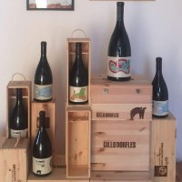 Peppino Pagano racconta la mostra dedicata a Gillo Dorfles