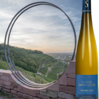 Clos Saint-Léger Riesling Grand Cru: l’approccio parcellare dei Domaines Schlumberger