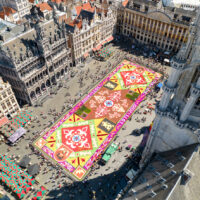 Tapis de Fleurs 2022 Bruxelles