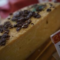 Caseus: più di 500 formaggi a Villa Contarini