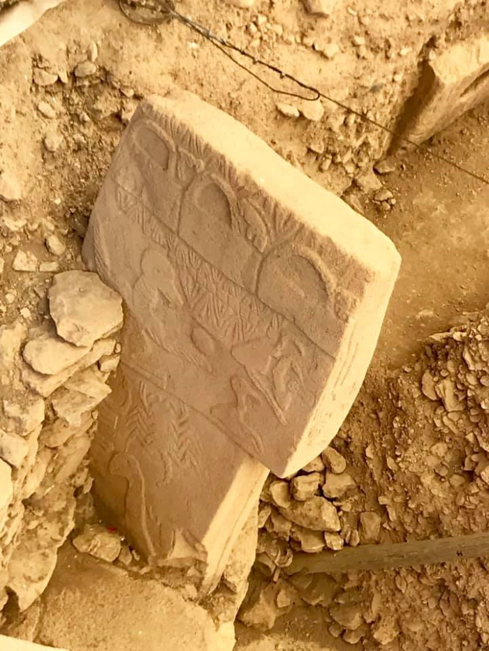 particolare disegni su stele di Gobekli Tepe