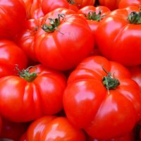 Pomodori: i progressi di agricoltura ed industria