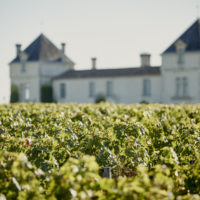 Château de Pez 2nd